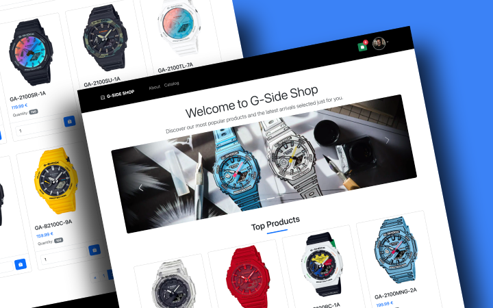 Capture d'écran du projet Flask Shop Template